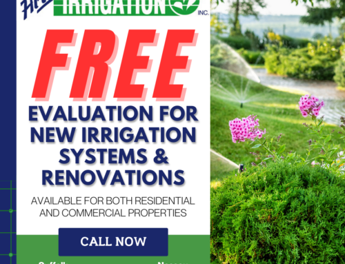 Free Evaluation For New Irrigation System